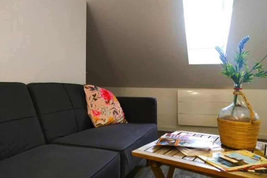 Le Cours Foucault - 3 Appartements - 8 Couchages Montauban Kültér fotó